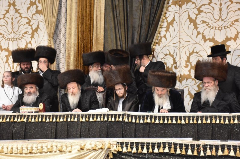 יהודה פרקוביץ