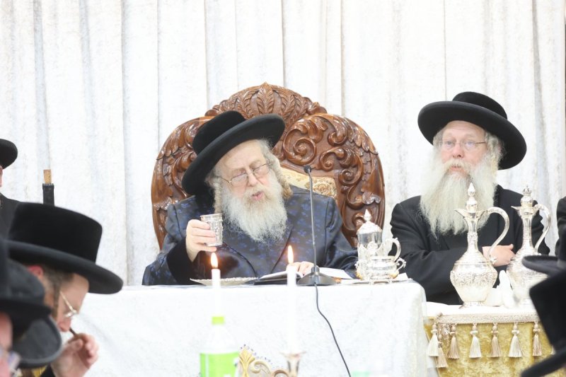 שלומי טריכטר