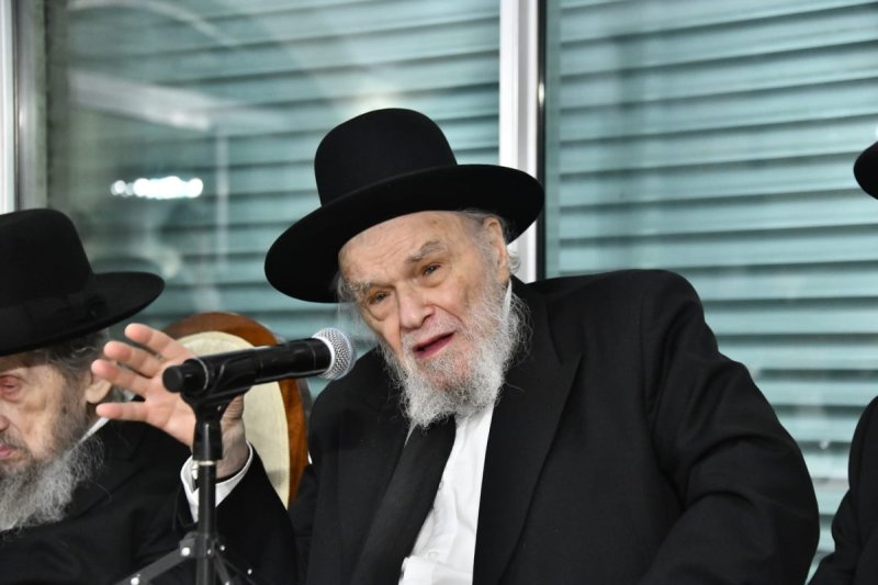 שוקי לרר ומאיר זלזניק