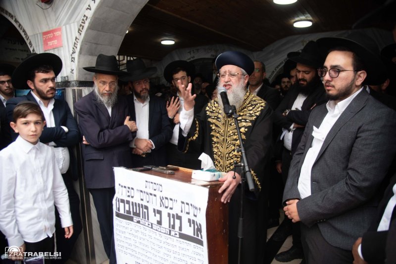 עזרא טרבלסי