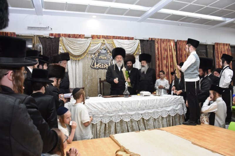 יהודה פרקוביץ