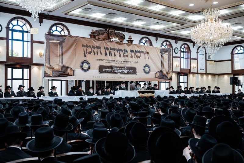 י. שטיין