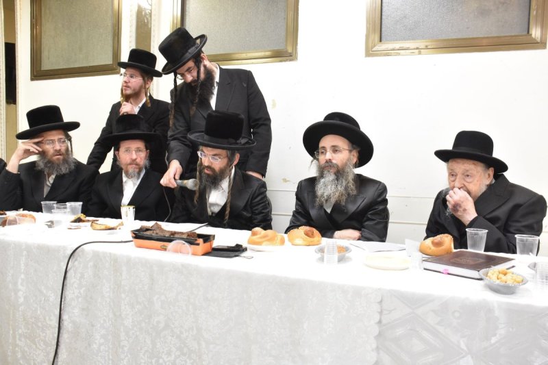 יהודה פרקוביץ