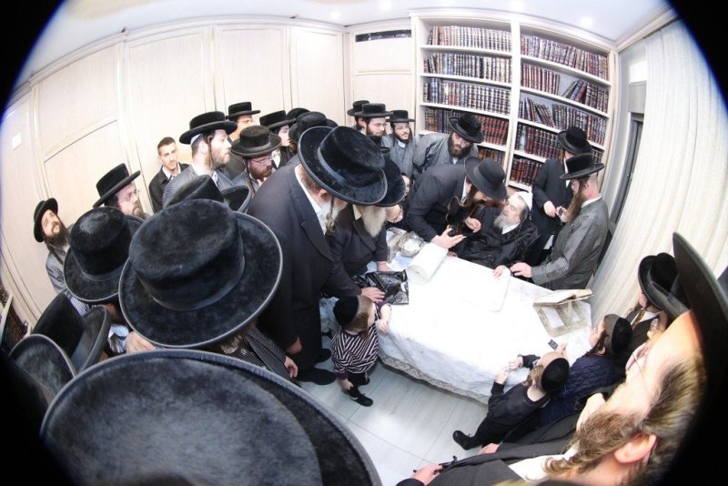 שלומי טריכטר