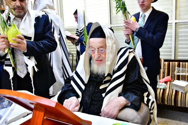 שוקי לרר