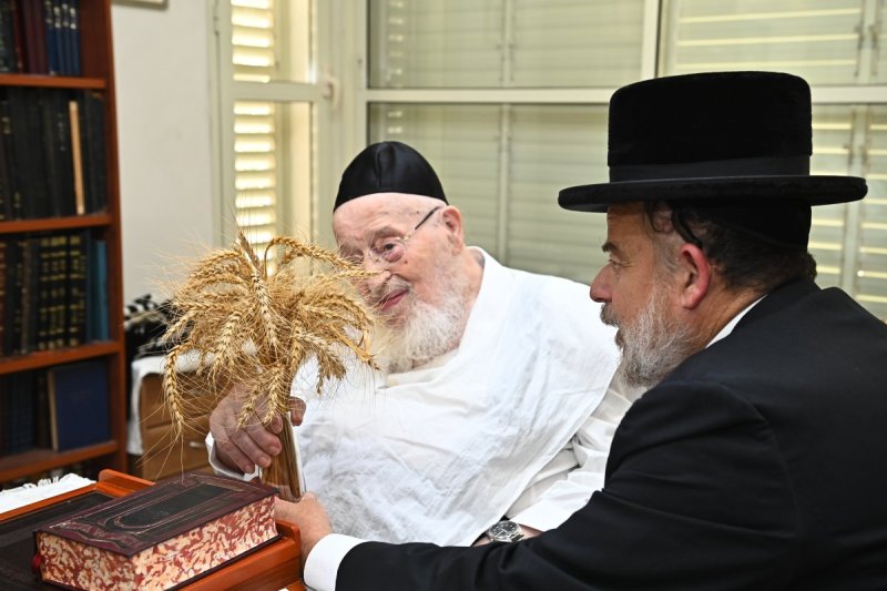 שוקי לרר