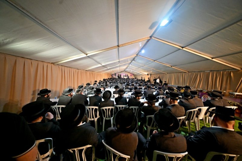 יהושע פרוכטר