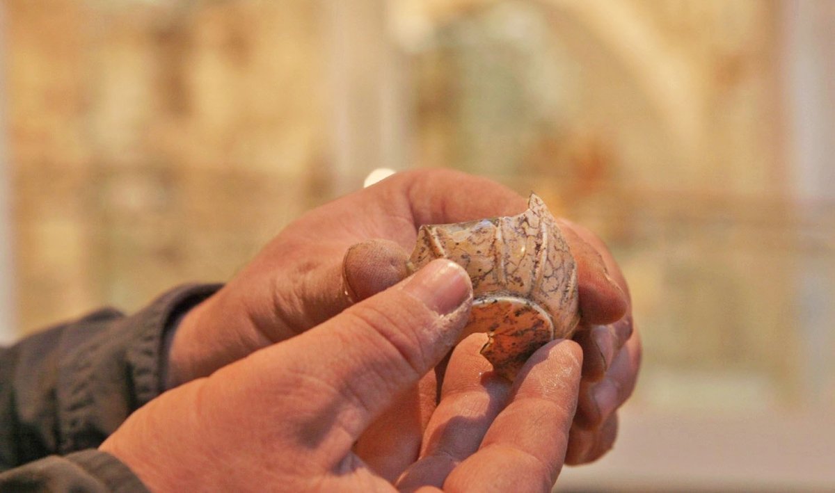 אמיל אלג'ם, רשות העתיקות