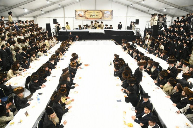 ארי קופרשטוק