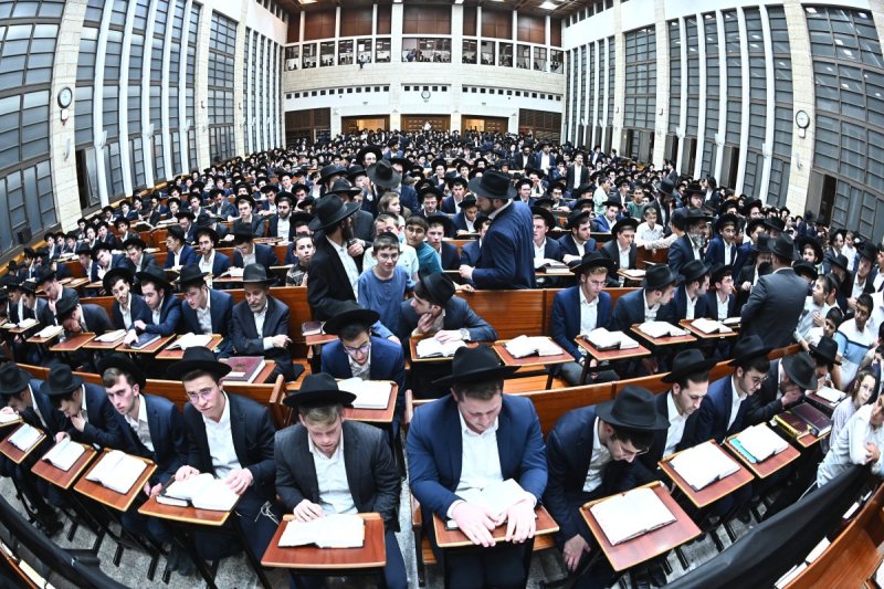 שוקי לרר