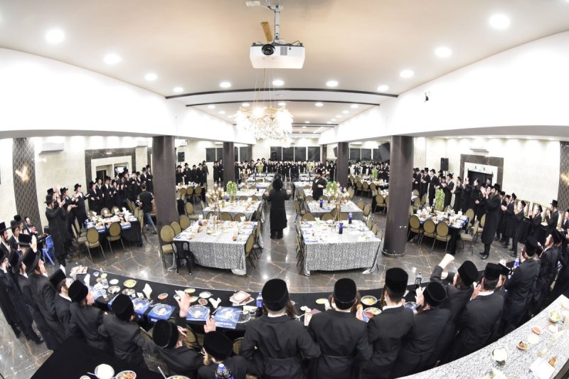 יהודה פרקוביץ