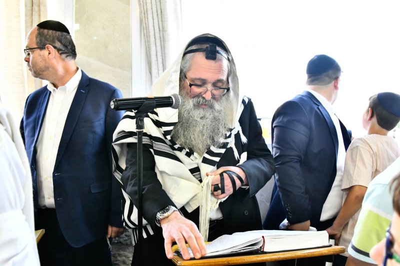 שוקי לרר