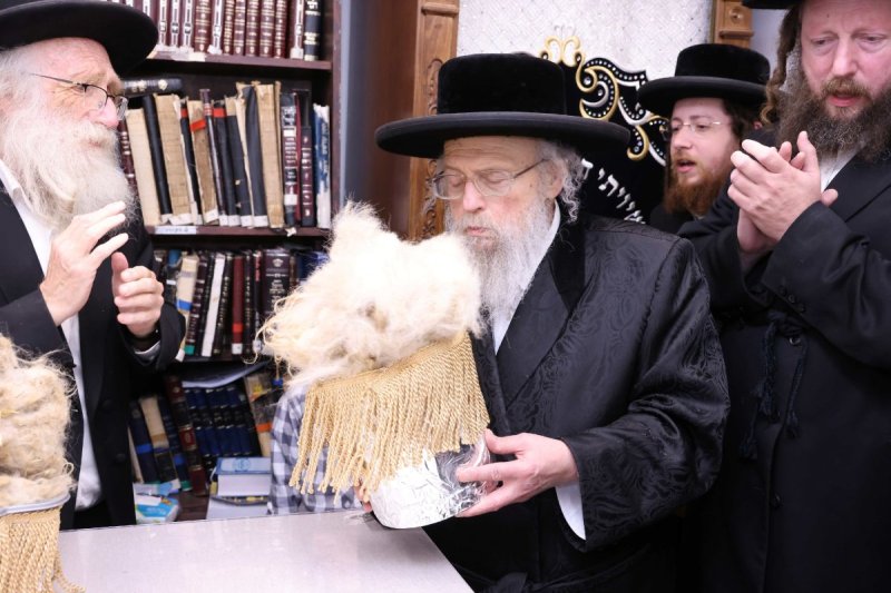 שמואל דריי