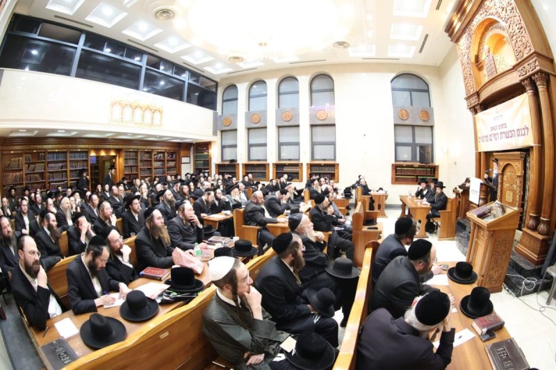 שלומי טריכטר