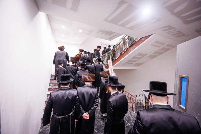 האחים לאנטשעווסקי ואושי וויינגארטן