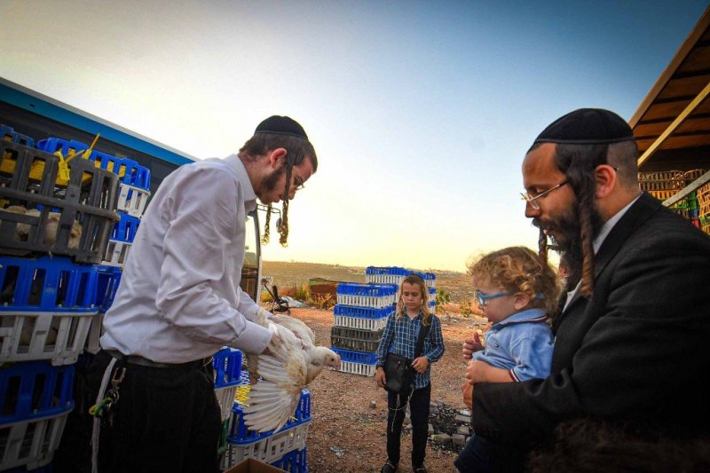 ארי קופרשטוק