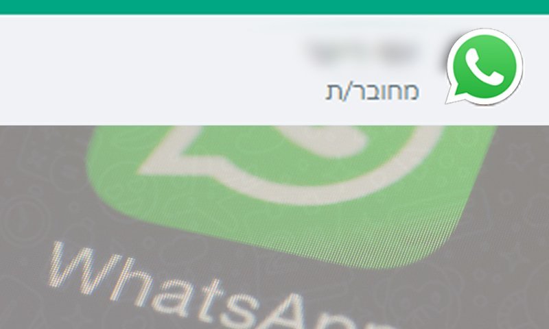 וואטסאפ בלי וואטסאפ: הפיצ'ר המהפכני שמטריף את המשתמשים