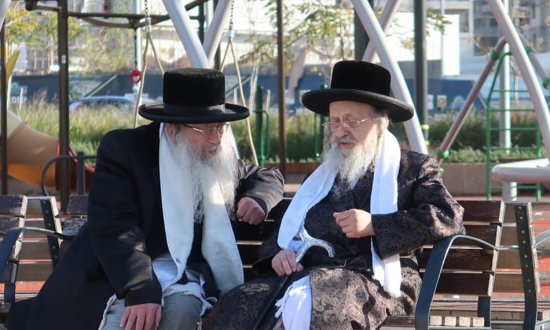 הרבי מצפת יצא ל'נאות דשא' עם אחיו הרבי מבית שמש