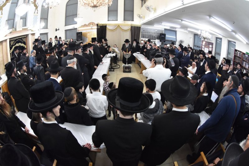 יהודה פרקוביץ