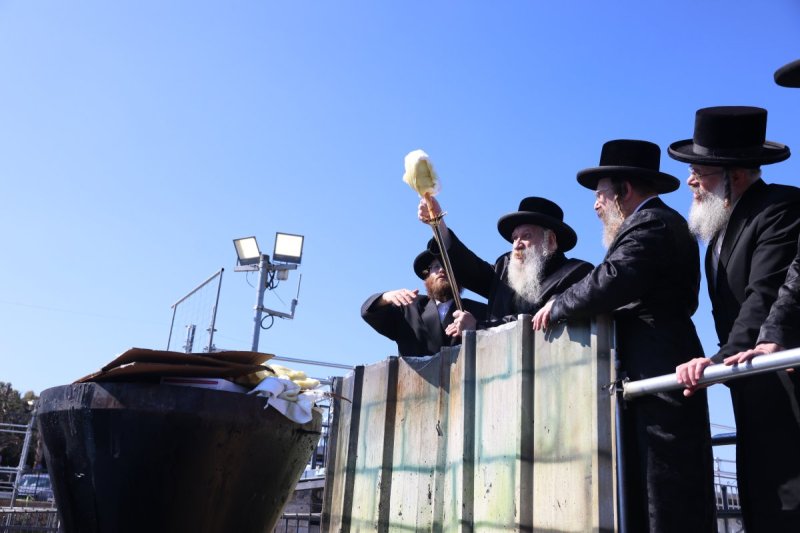 דוד כהן