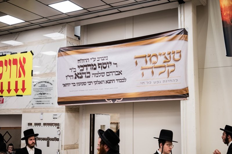 י. שטיין, שלום קליין ושלום שוורץ