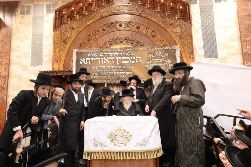 דוד ארזני