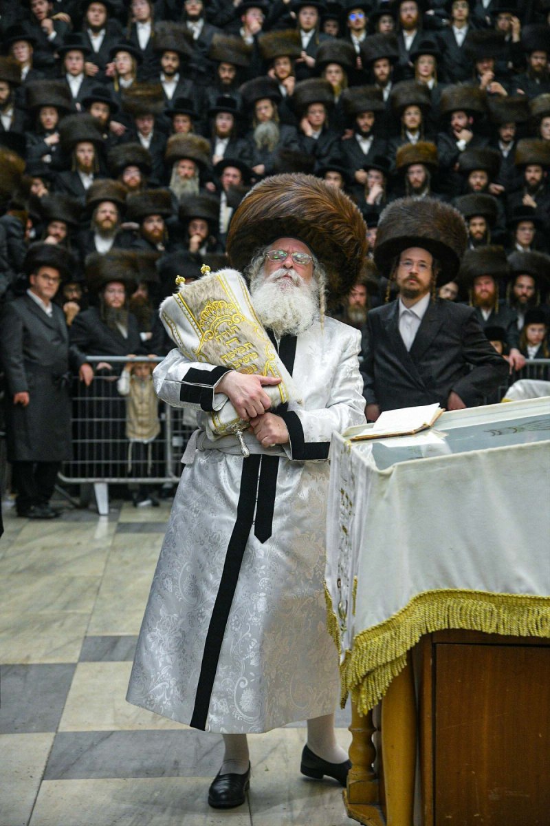 דוד ארזני וארי קופרשטוק