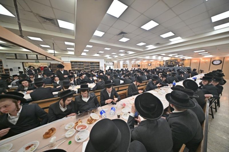 יהושע פרוכטר