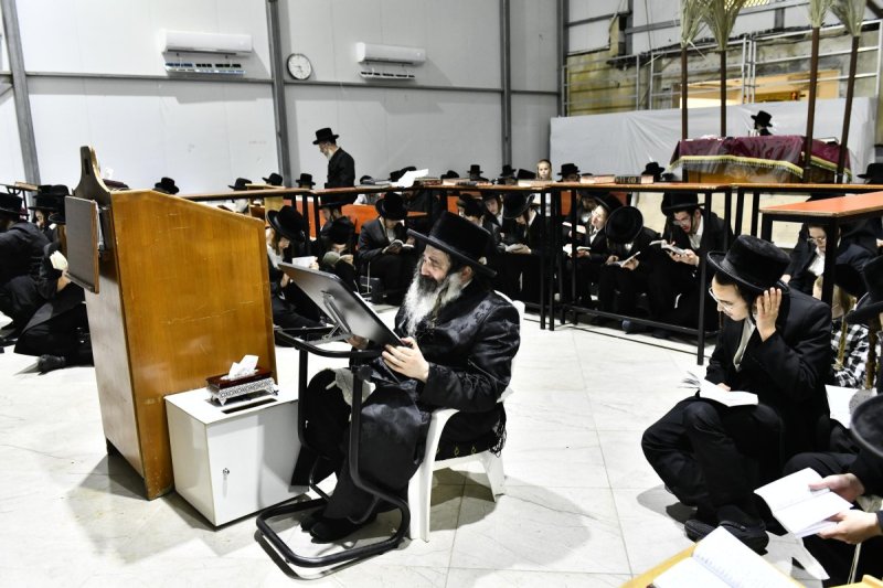 שוקי לרר