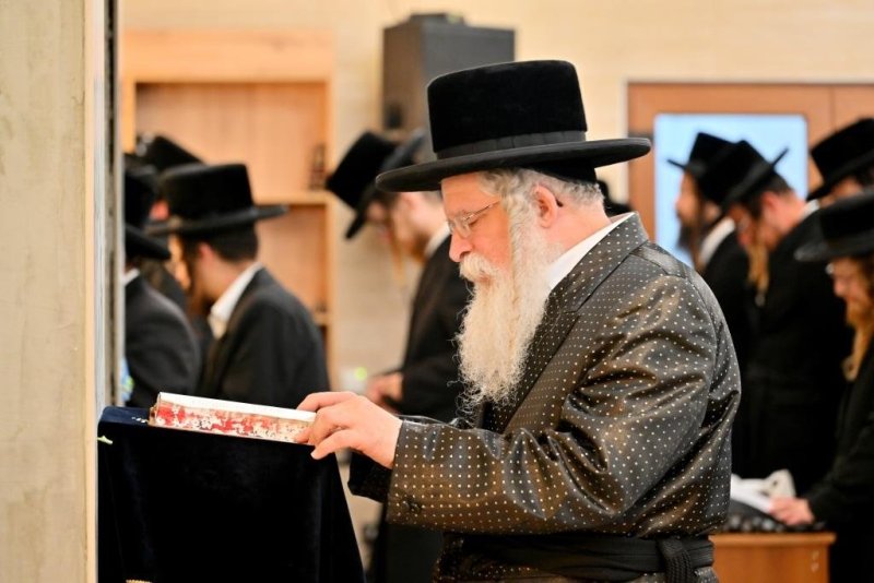 יהושע פרוכטר