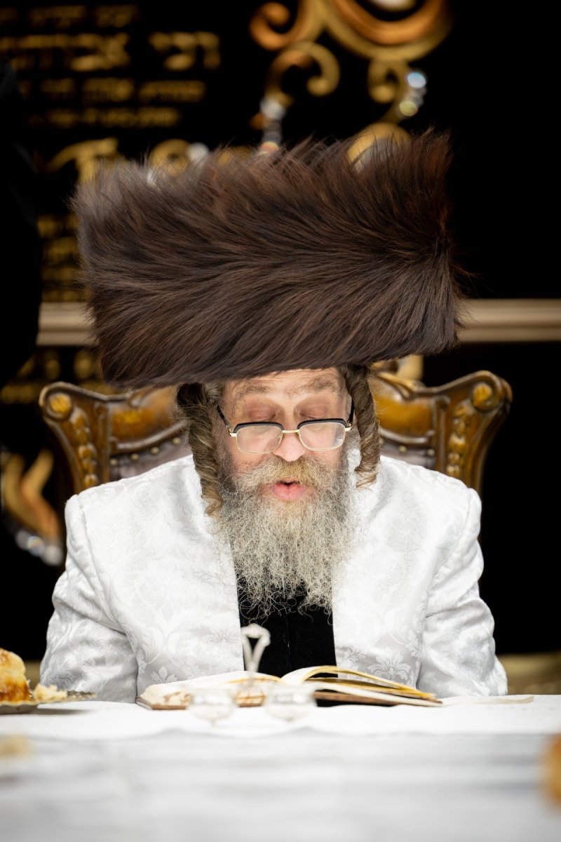 איצי מ.