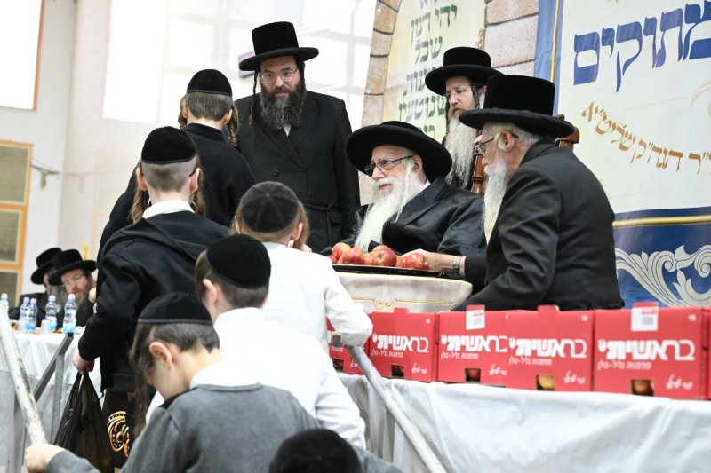 משה גולדשטיין