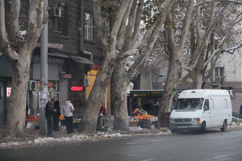 צילום: מרדכי לובעצקי
