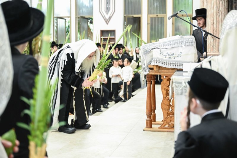 משה גולדשטיין