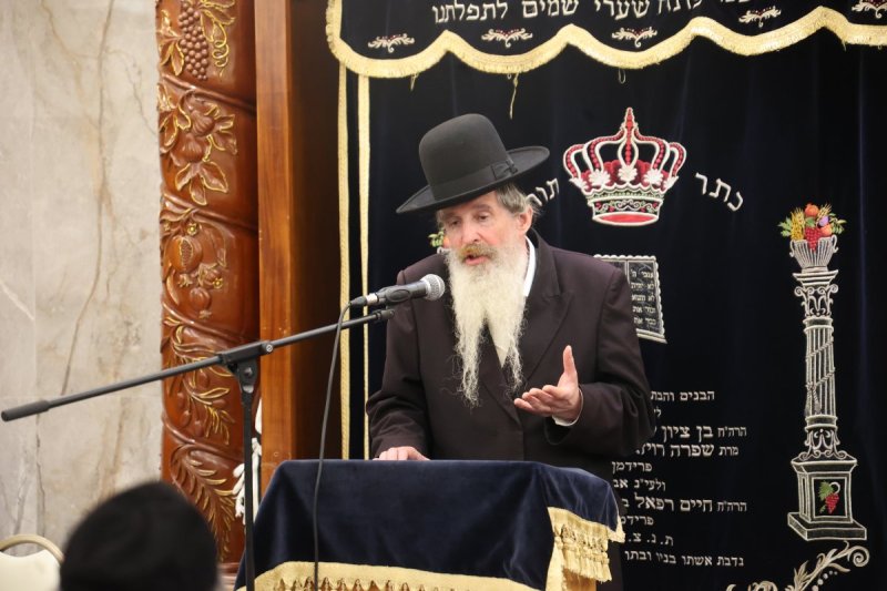 שלומי טריכטר