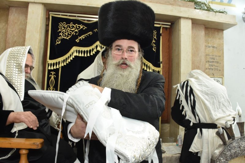 יהודה פרקוביץ