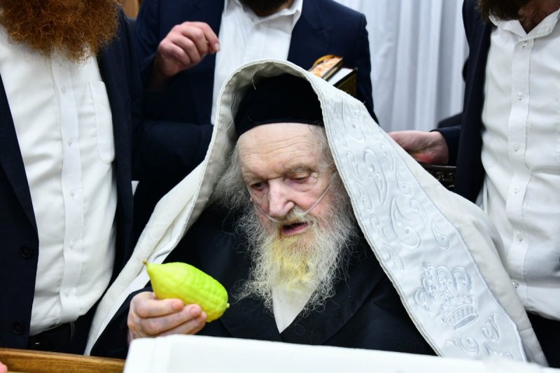 שוקי לרר