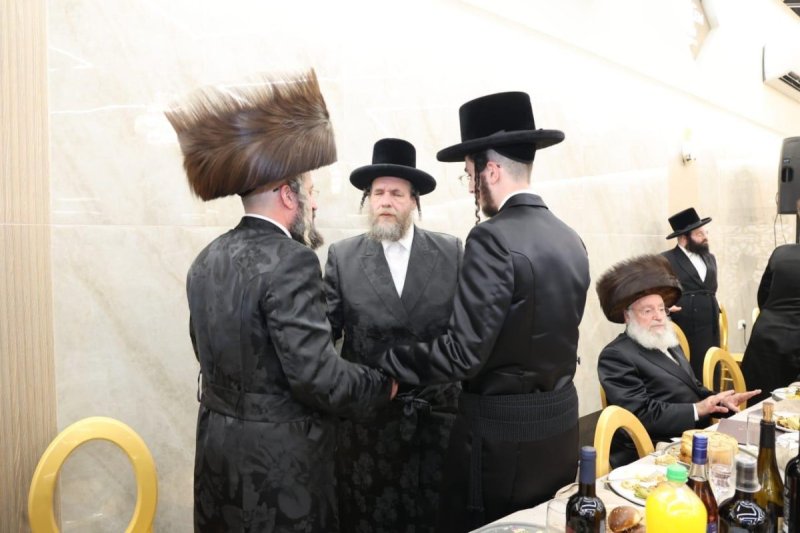 שלומי טריכטר