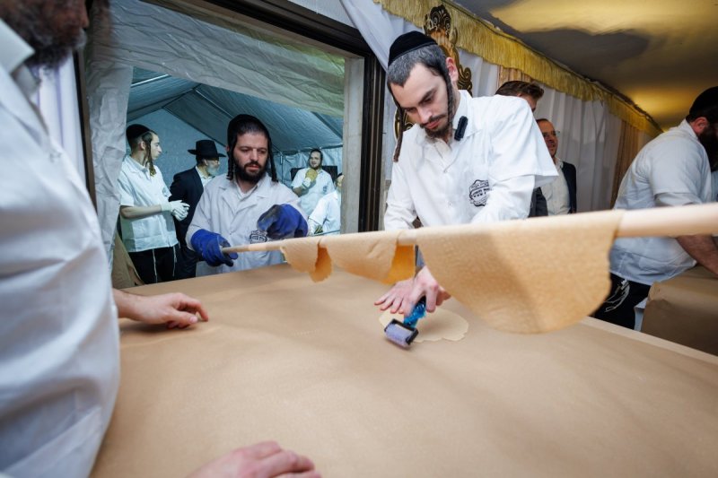 דניאל נפוסי