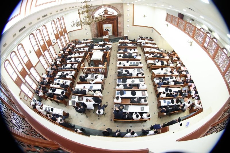 שלומי טריכטר