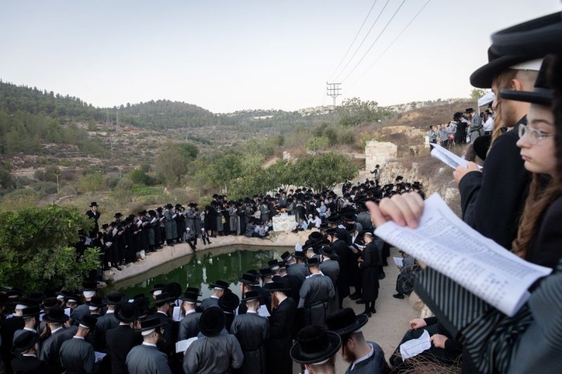 חיים גולדברג - פלאש 90