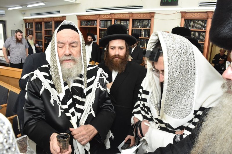 יהודה פרקוביץ