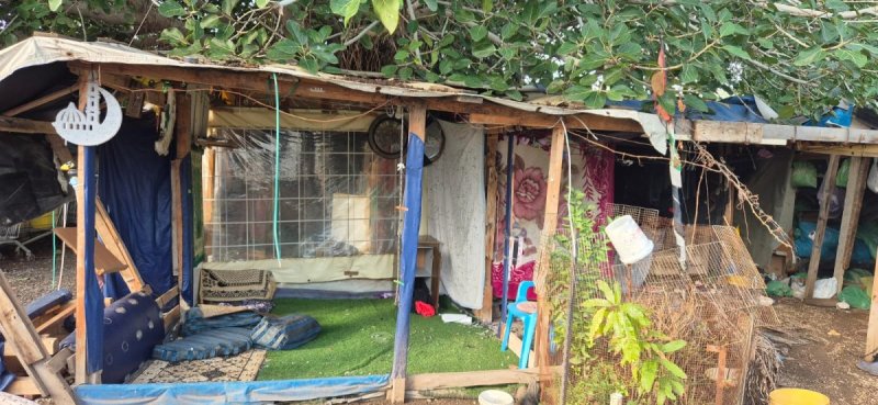 איגוד ערים כינרת