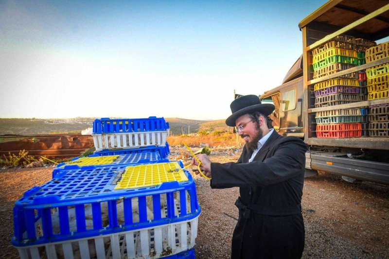 ארי קופרשטוק