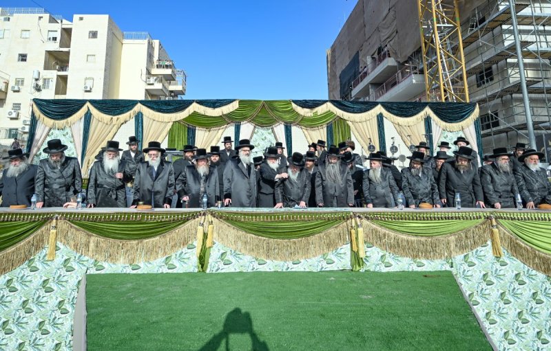 משה גולדשטיין