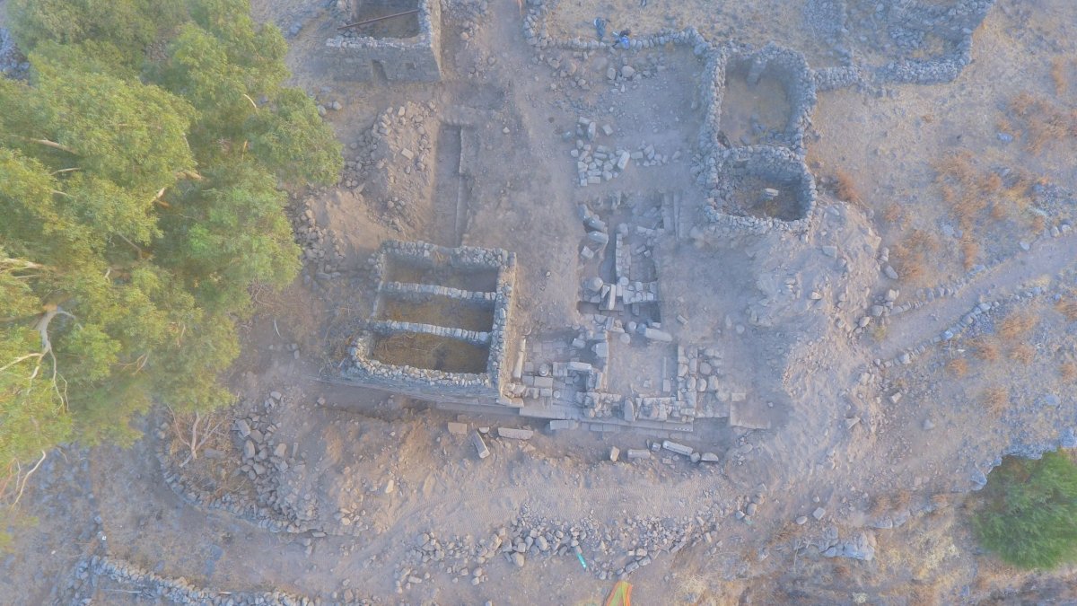 מיכאל אזבנד