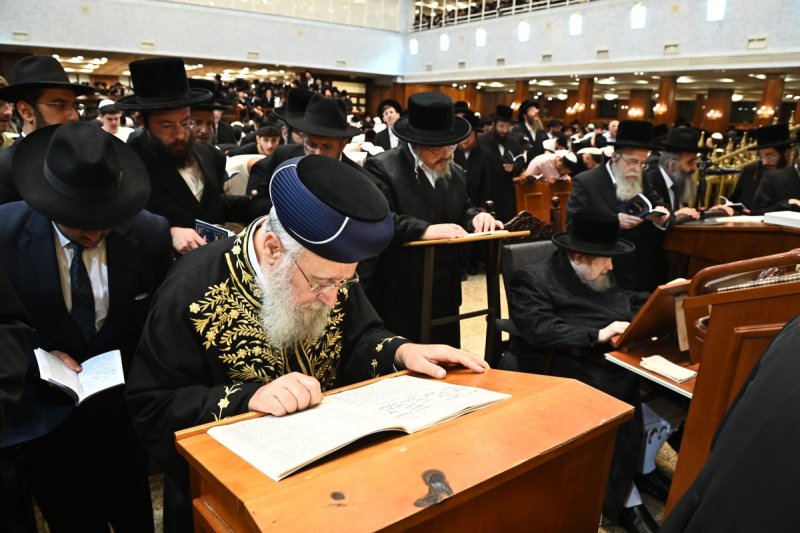 שוקי לרר