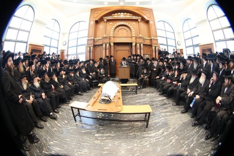 שלומי טריכטר