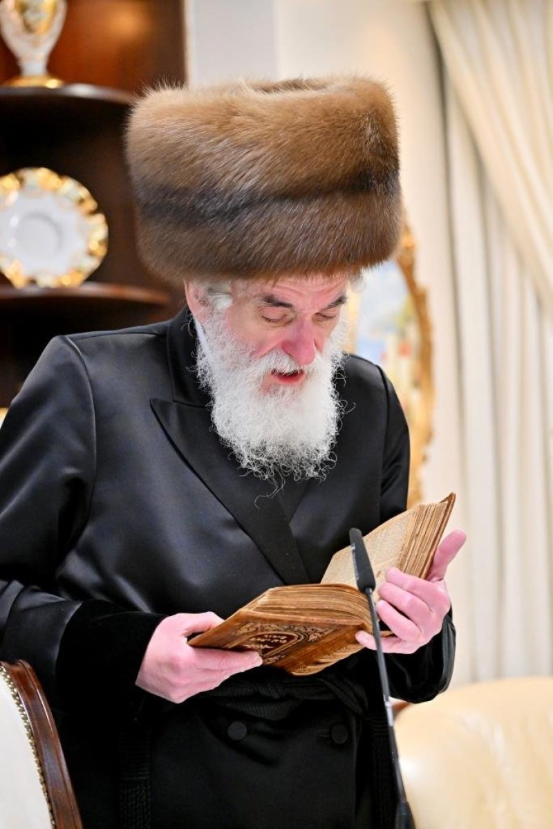 יהושע פרוכטר