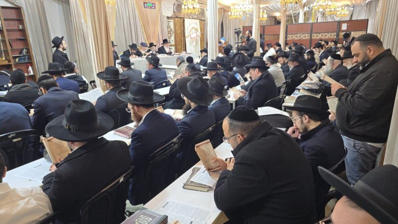 באדיבות המצלם